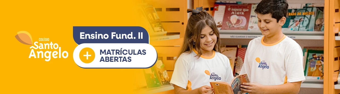 Imagem 1