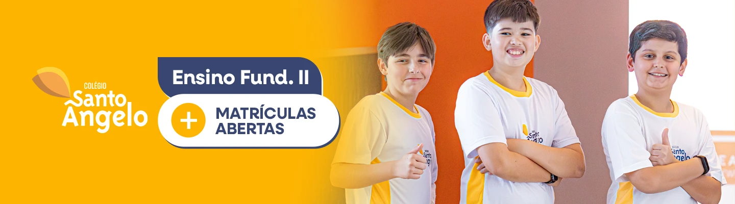 Imagem 3